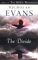 The Divide