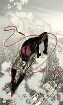 Daredevil Vol. 11: Golden Age