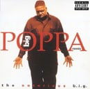 Big Poppa / Who Shot Ya / Warning