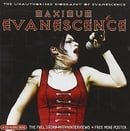 Maximum Evanescense: The Unauthorised Biography of Evanescence