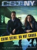 C.S.I. New York - The Complete First Season