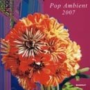 Pop Ambient 2007