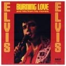 Burning Love and Hits from His Movies, Vol. 2