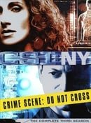 CSI: New York: Season 3