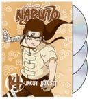 Naruto Uncut Box Set, Vol. 14 (Special Edition)