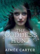 The Goddess Hunt (Goddess Test, Book 1.5)