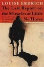 THE LAST REPORT ON THE MIRACLES AT LITTLE NO HORSE.