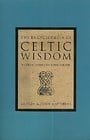The Encyclopaedia of Celtic Wisdom: A Celtic Shaman