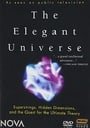 The Elegant Universe                                  (2003- )