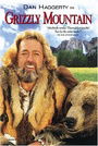 Grizzly Mountain