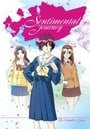 Sentimental Journey - The Complete Series