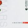 Beautiful Lie