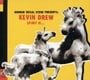Broken Social Scene Presents: Kevin Drew Spirit If...